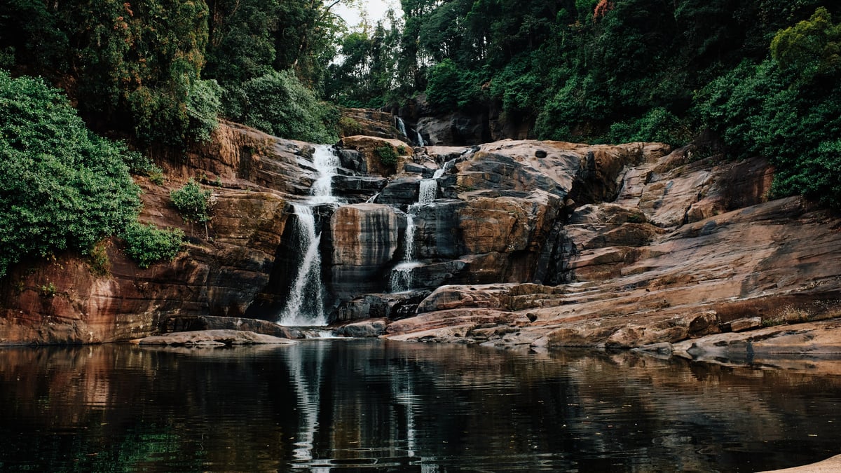 The Cost of Tea — Sri Lanka — 14